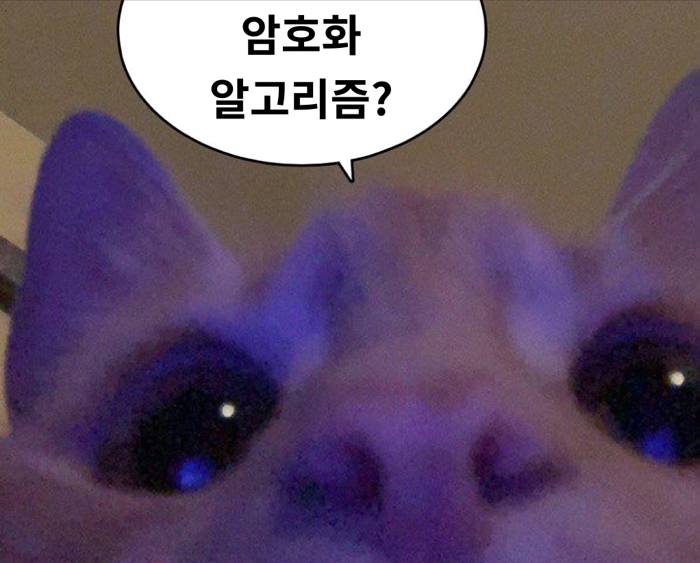 thumbnail-url