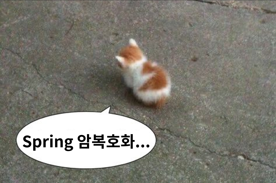 thumbnail-url