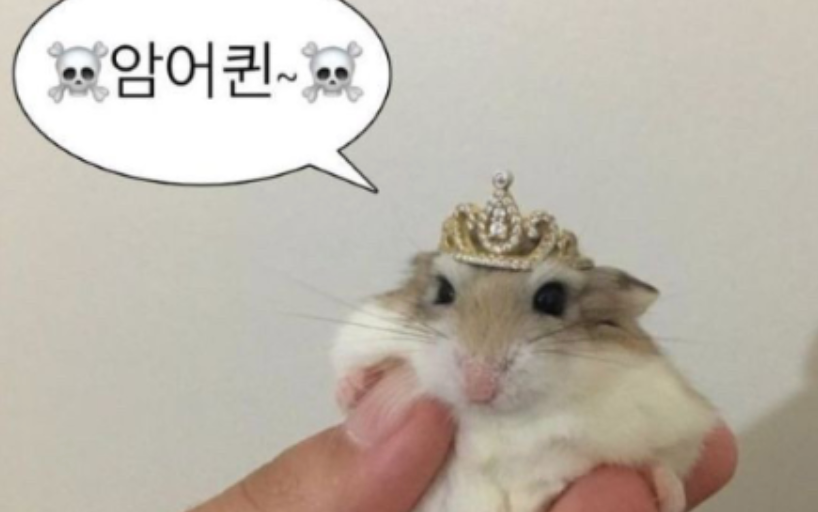 thumbnail-url