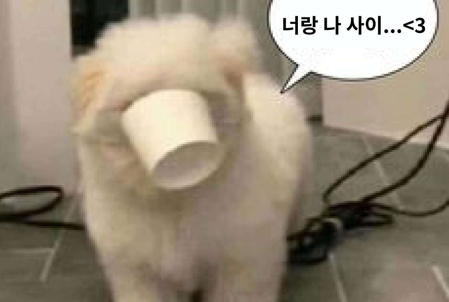 thumbnail-url