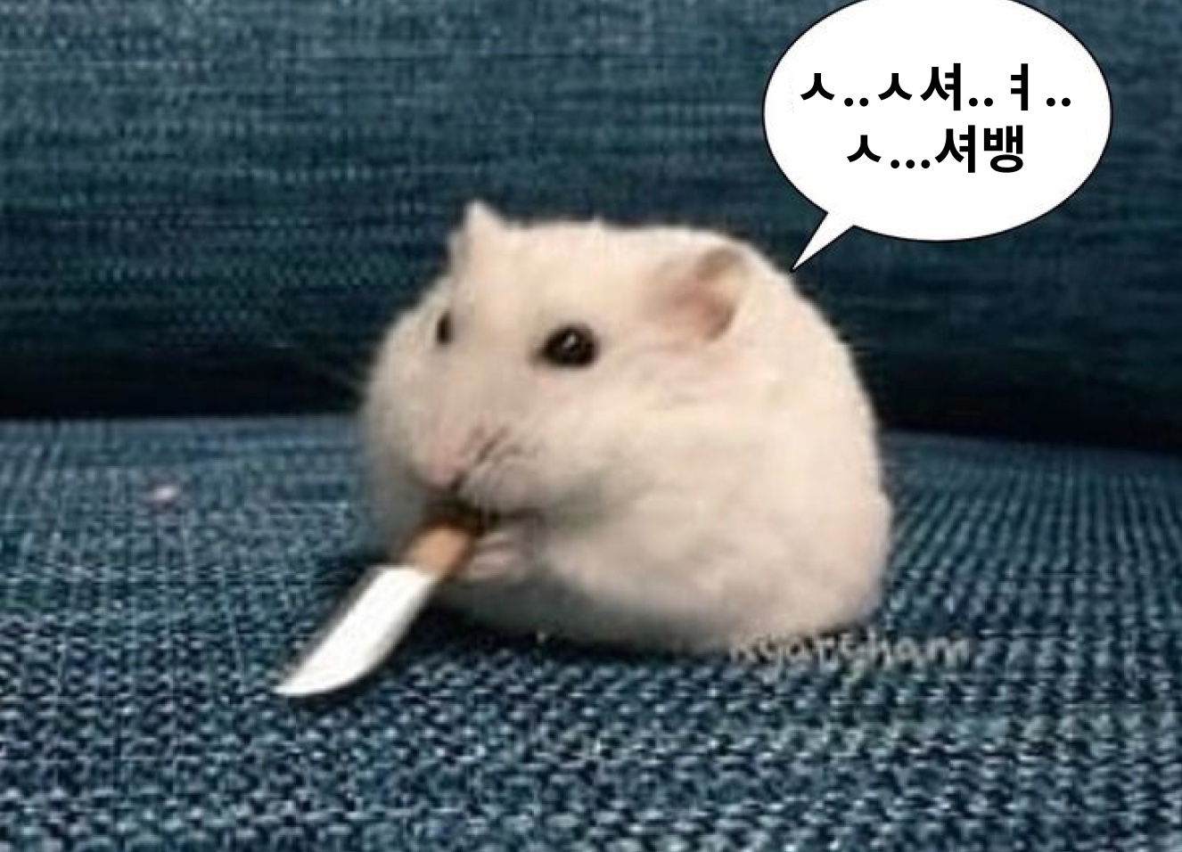 thumbnail-url