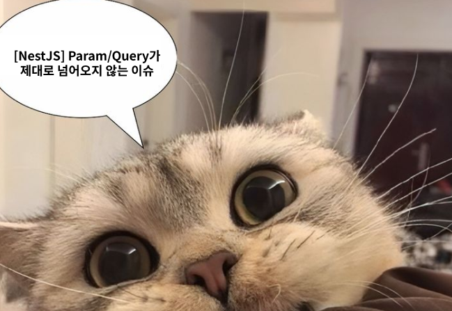 [NestJS] Param/Query가 제대로 넘어오지 않는 이슈