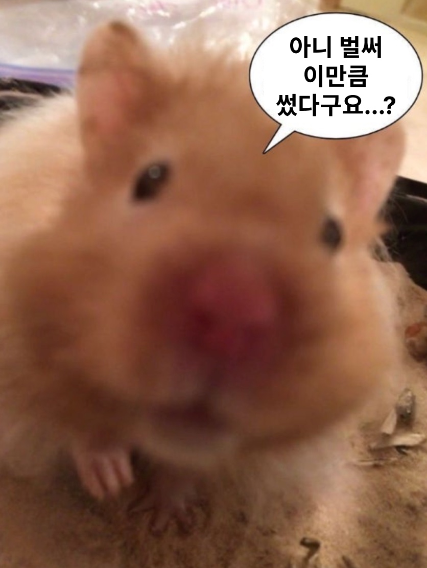 내 Claude Code 사용량을 GitHub 잔디처럼 - token-garden